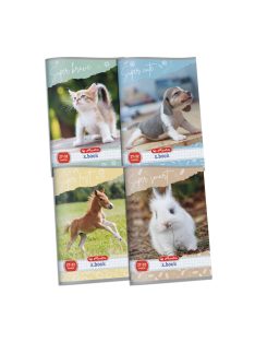 Füzet A5/27-32 kockás Animal Hero (09087719)