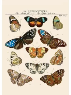   PICTURA Textured notebook A5 (25233) 96 lapos vonalas (3494150183411)