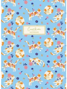   PICTURA Softness notebook A5 (25244) 96 lapos vonalas (3494150183527)