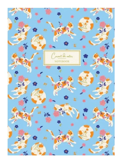 PICTURA Softness notebook A5 (25244) 96 lapos vonalas (3494150183527)