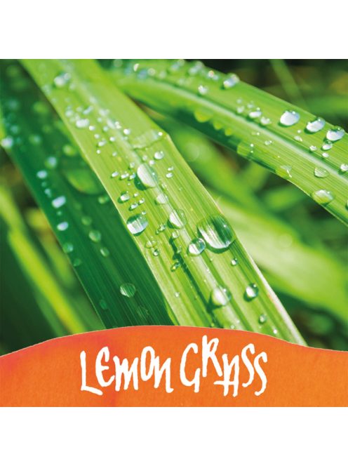 Online illatos tinta, narancs, citromfű (4014421170675)