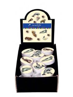 Radír: SEALIFE (4031172430568)