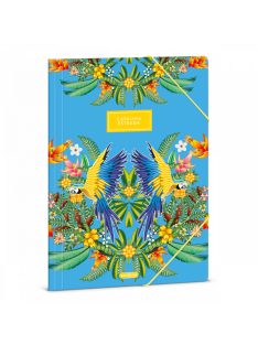 Ars Una A/4 DOSSZIÉ CATALINA ARARATITI (5274) 23 (50212743)