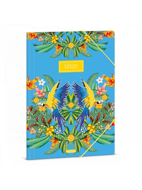 Ars Una A/4 DOSSZIÉ CATALINA ARARATITI (5274) 23 (50212743)