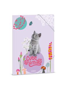 Ars Una Cute Animals-kitten A/4 gumis dosszié