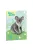 Ars Una Cuki Állatok-Koala A/4 gumis dosszié