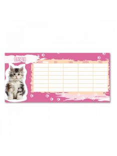 Ars Una EGYLAPOS ÓRAREND CUKI-MACSKA (5106) 21 (50491063)