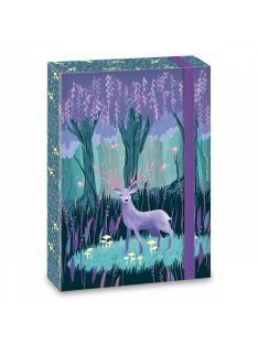 Ars Una A/4 FÜZETBOX MIDNIGHT WISH (5129) 22 (50851294)