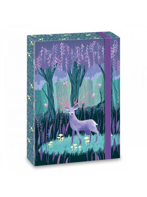 Ars Una A/4 FÜZETBOX MIDNIGHT WISH (5129) 22 (50851294)