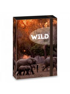   Ars Una A/4 FÜZETBOX THE EYES OF THE WILD - ELEPHANT (5217) 22 (50852178)