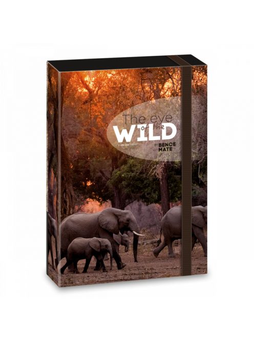 Ars Una A/4 FÜZETBOX THE EYES OF THE WILD - ELEPHANT (5217) 22 (50852178)