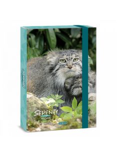 Ars Una A/4 FÜZETBOX SERENITY-MANUL (5331) 23 (50853311)