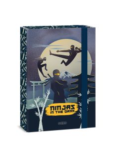 Ars Una Ninjas in the dark A/4 füzetbox