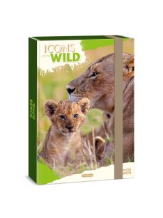 Ars Una Máté Bence Icons of the Wild-Lions A/4 füzetbox