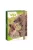 Ars Una Máté Bence Icons of the Wild-Lions A/4 füzetbox