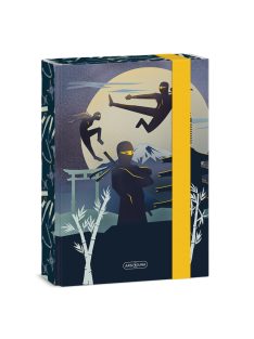 Ars Una Ninjas in the dark A/5 füzetbox