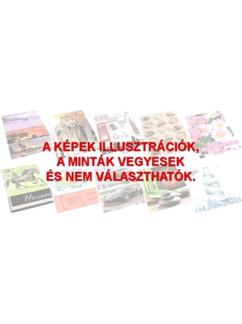 Spirálfüzet T-Creativ A/4, 70 lapos, vonalas (5999012901090)