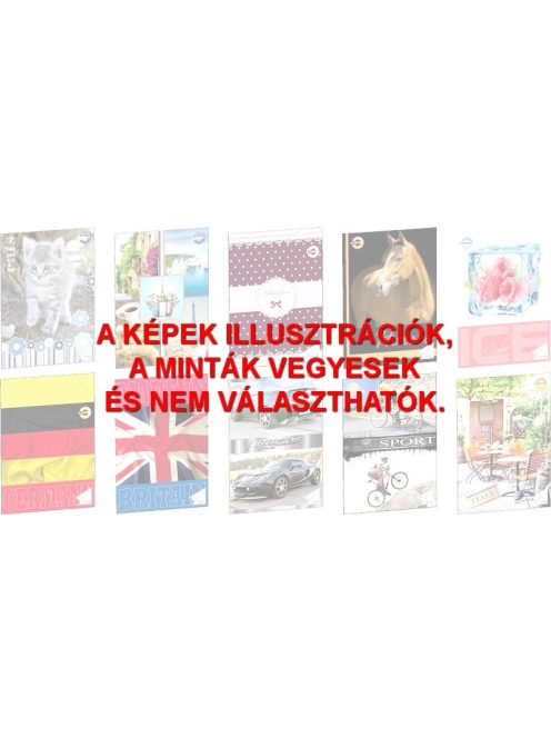 Füzet T-Creativ A/5 31-32, szótár (5999012904435)