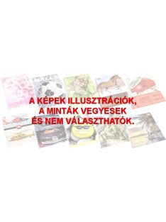 Spirálfüzet T-Creativ A/5, 70 lapos, sima (5999012934296)