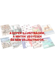Spirálfüzet T-Creativ A/4, 70 lapos, sima (5999012934302)