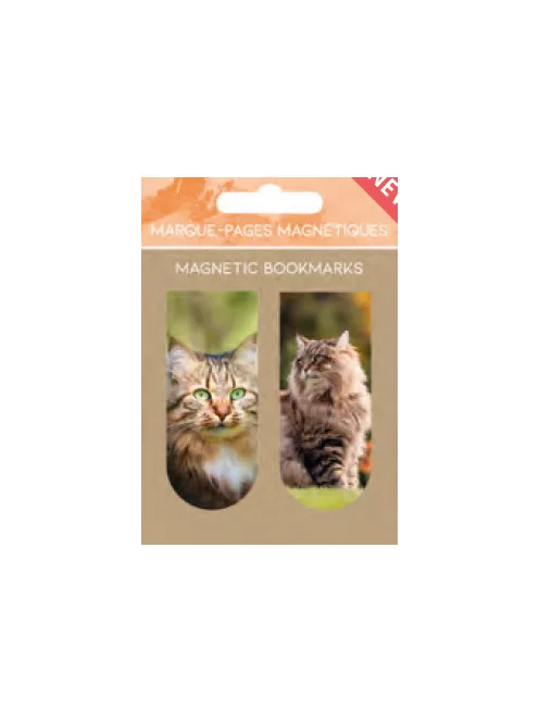 PICTURA Mágneses könyvjelző (2db-os) 25550 (7316197944366)