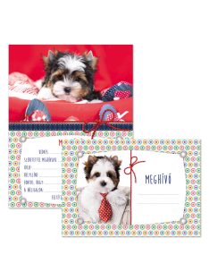 Ars Una kutyás partimeghívó borítékkal