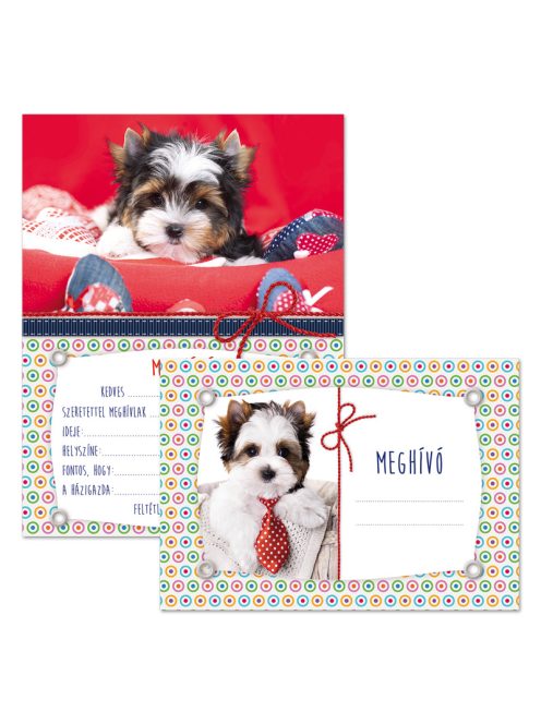 Ars Una kutyás partimeghívó borítékkal