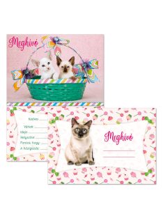 Ars Una cicás partimeghívó borítékkal