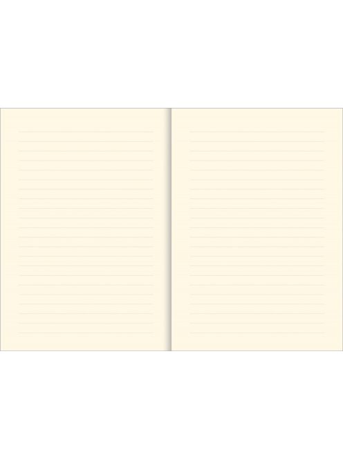 Napló 2419 (9781441322418)