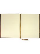 Napló 2419 (9781441322418)