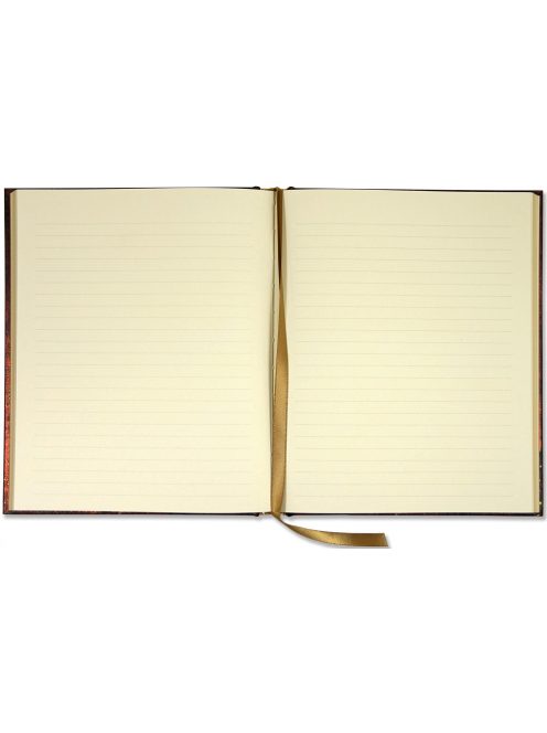 Napló 2419 (9781441322418)