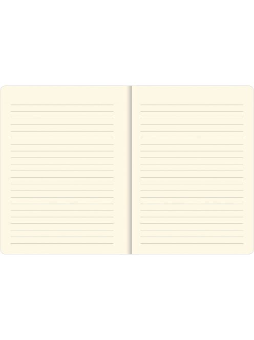 Gumis napló 337719 (9781441337719)