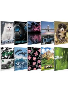   Spirálfüzet T-Creativ A/5-70 m mintás fedelű, vonalas, 70 lapos