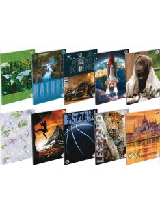   Füzet T-Creativ A/4 87-32 négy négyzetrácsos, vegyes minta, 20 db/csom.