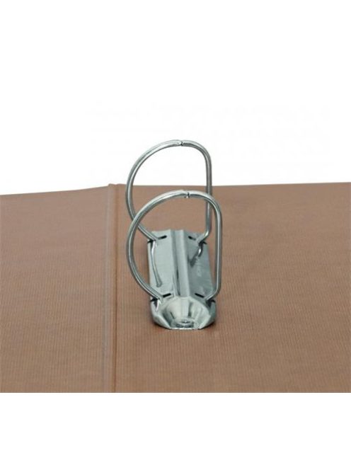 Gyűrűs könyv, 2 gyűrű, D alakú, 50 mm, A4, karton, DONAU "Life", neon kék (D3835K)