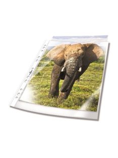   Genotherm, lefűzhető, PP, A4, 48 mikron, víztiszta, DURABLE (DB267219)