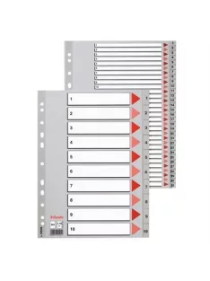 Regiszter, műanyag, A4, 1-10, ESSELTE,szürke (E100105)