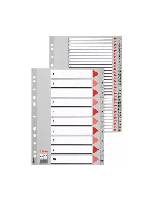Regiszter, műanyag, A4, 1-10, ESSELTE,szürke (E100105)