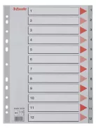 Regiszter, műanyag, A4, 1-12, ESSELTE, szürke (E100106)