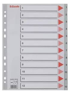Regiszter, műanyag, A4, 1-12, ESSELTE, szürke (E100106)