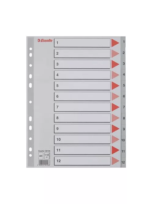 Regiszter, műanyag, A4, 1-12, ESSELTE, szürke (E100106)