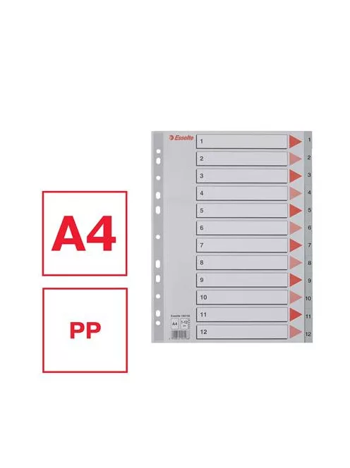 Regiszter, műanyag, A4, 1-12, ESSELTE, szürke (E100106)