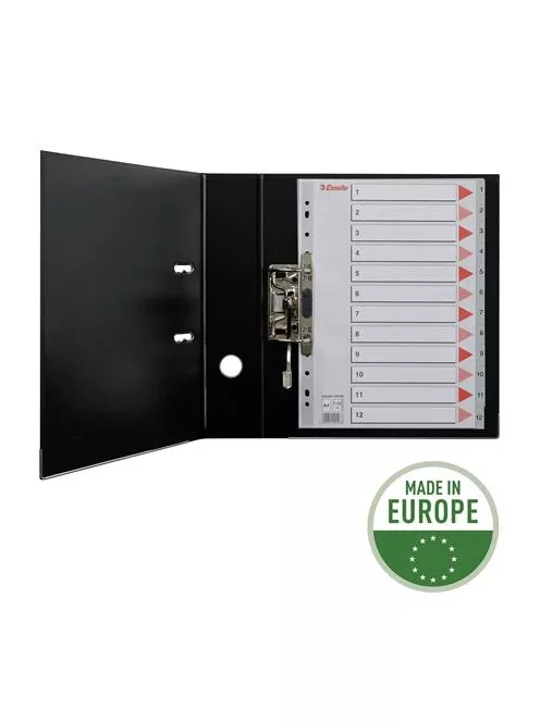Regiszter, műanyag, A4, 1-12, ESSELTE, szürke (E100106)