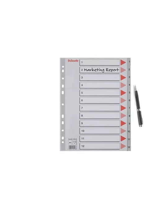 Regiszter, műanyag, A4, 1-12, ESSELTE, szürke (E100106)