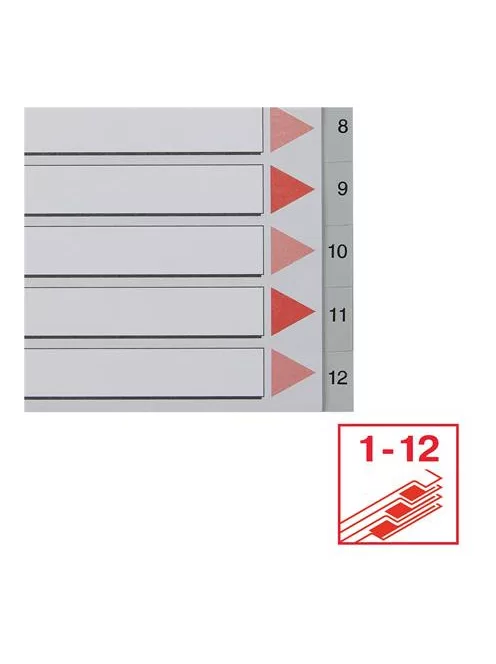 Regiszter, műanyag, A4, 1-12, ESSELTE, szürke (E100106)