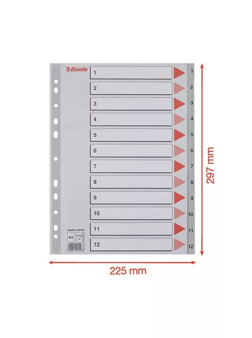 Regiszter, műanyag, A4, 1-12, ESSELTE, szürke (E100106)