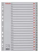 Regiszter, műanyag, A4, 1-20, ESSELTE, szürke (E100107)