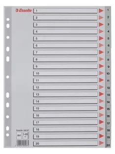 Regiszter, műanyag, A4, 1-20, ESSELTE, szürke (E100107)
