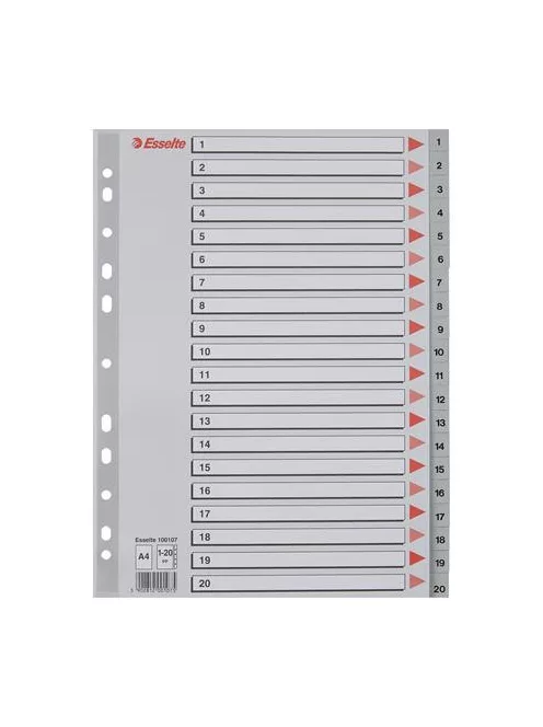 Regiszter, műanyag, A4, 1-20, ESSELTE, szürke (E100107)