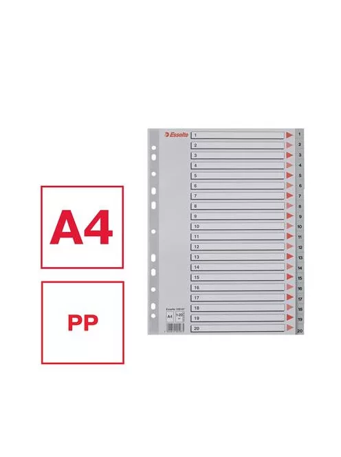 Regiszter, műanyag, A4, 1-20, ESSELTE, szürke (E100107)